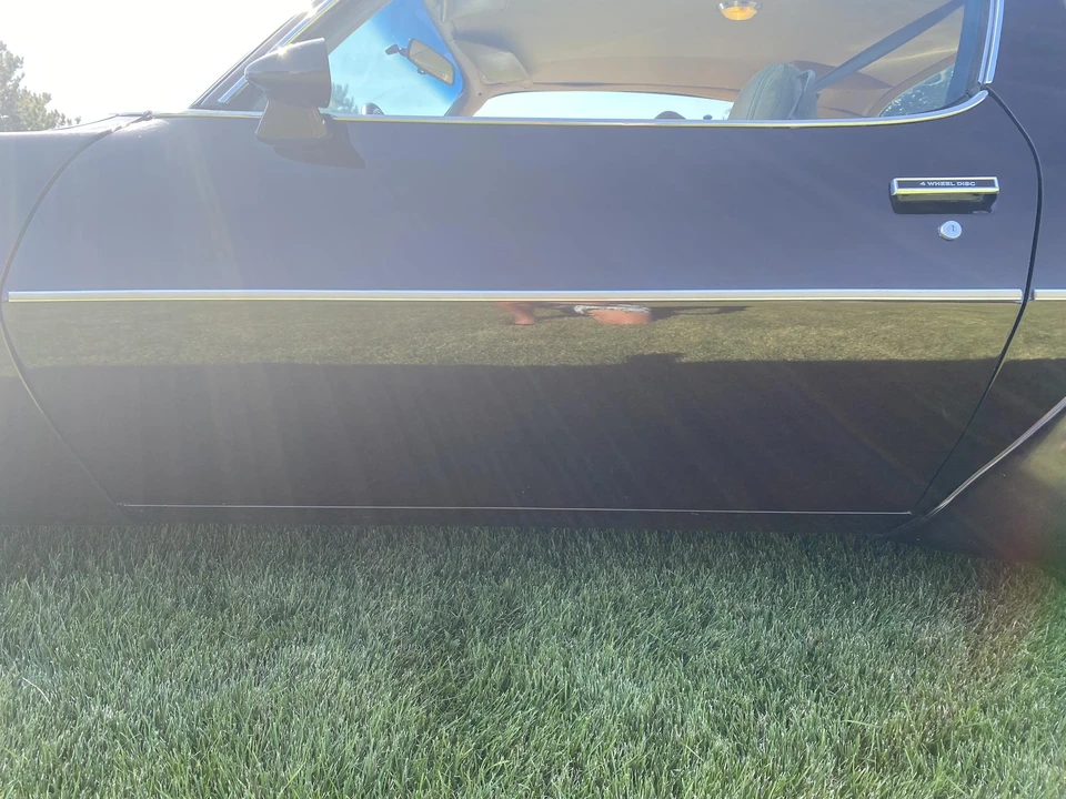1981 Pontiac Firebird Trans Am 2nd Gen - Image 29 of 31