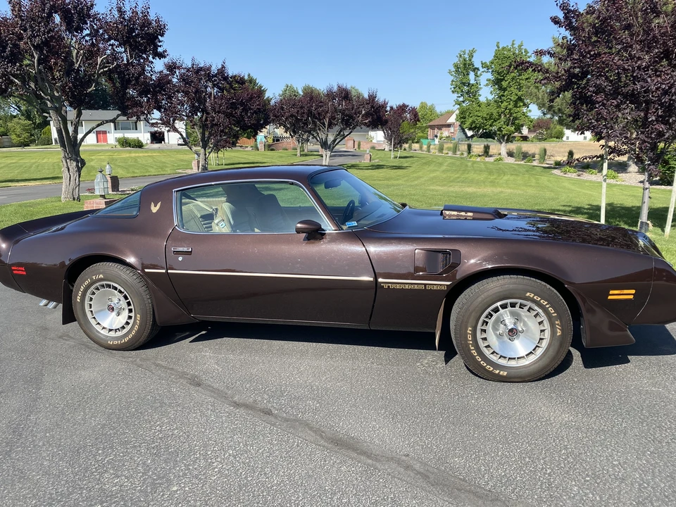 1981 Pontiac Firebird Trans Am 2nd Gen - Image 15 of 31