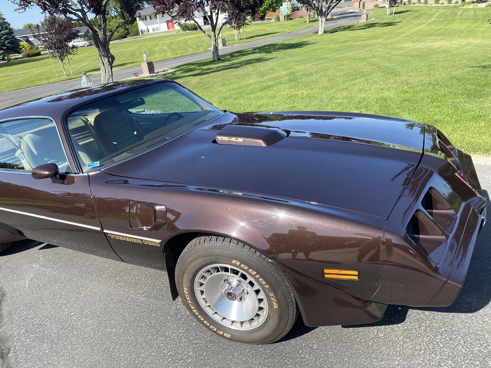 1981 Pontiac Firebird Trans Am 2nd Gen - Image 20 of 31