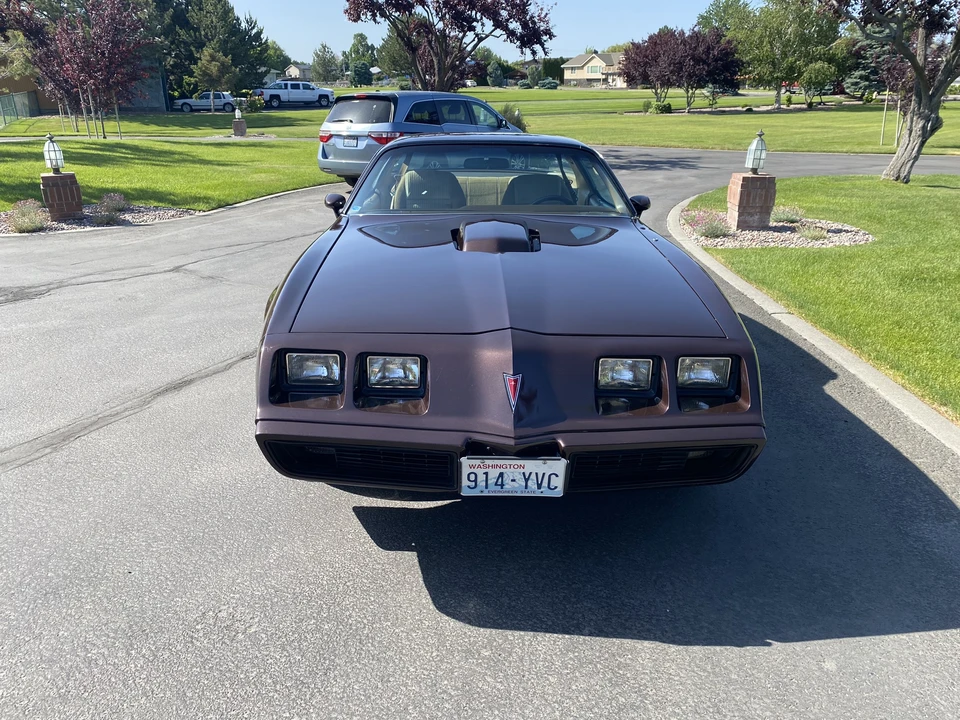 1981 Pontiac Firebird Trans Am 2nd Gen - Image 16 of 31