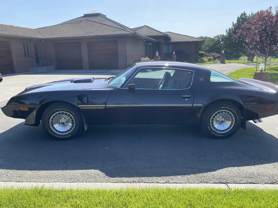 1981 Pontiac Firebird Trans Am 2nd Gen - Image 17 of 31
