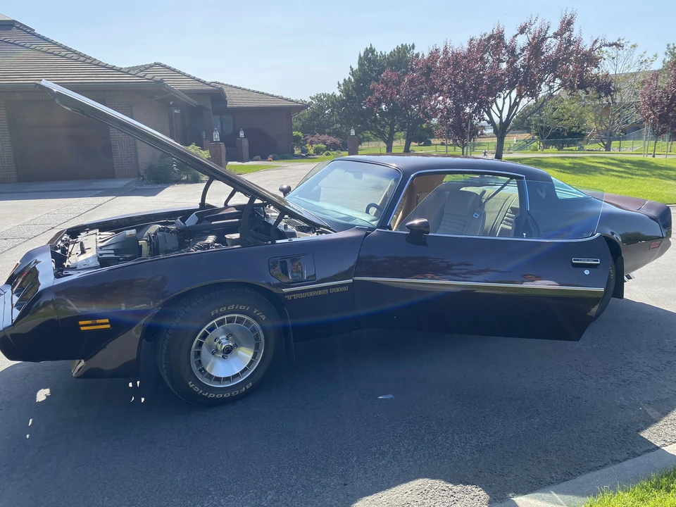 1981 Pontiac Firebird Trans Am 2nd Gen - Image 19 of 31
