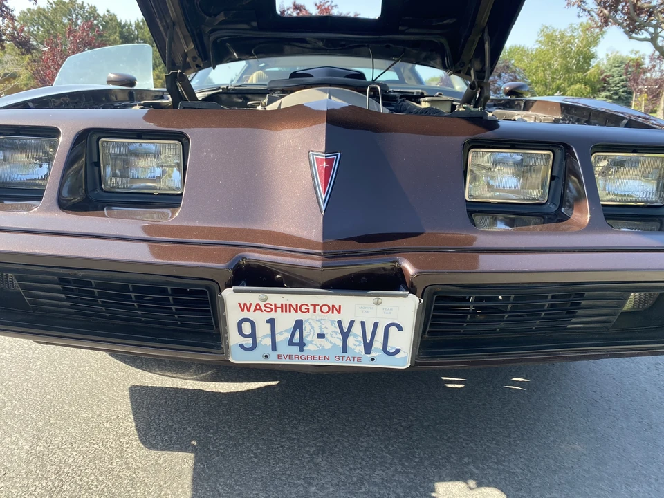1981 Pontiac Firebird Trans Am 2nd Gen - Image 21 of 31