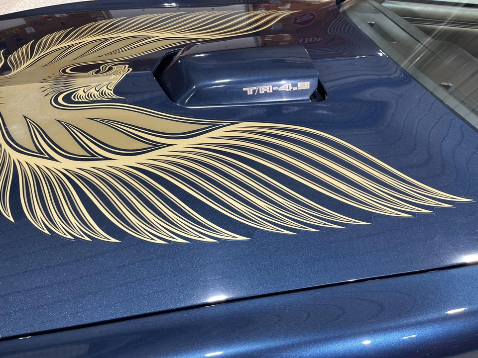 1981 Pontiac Firebird Trans Am 2nd Gen - Image 28 of 31
