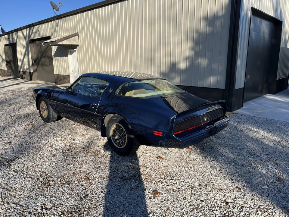 1981 Pontiac Firebird Trans Am 2nd Gen - Image 13 of 31