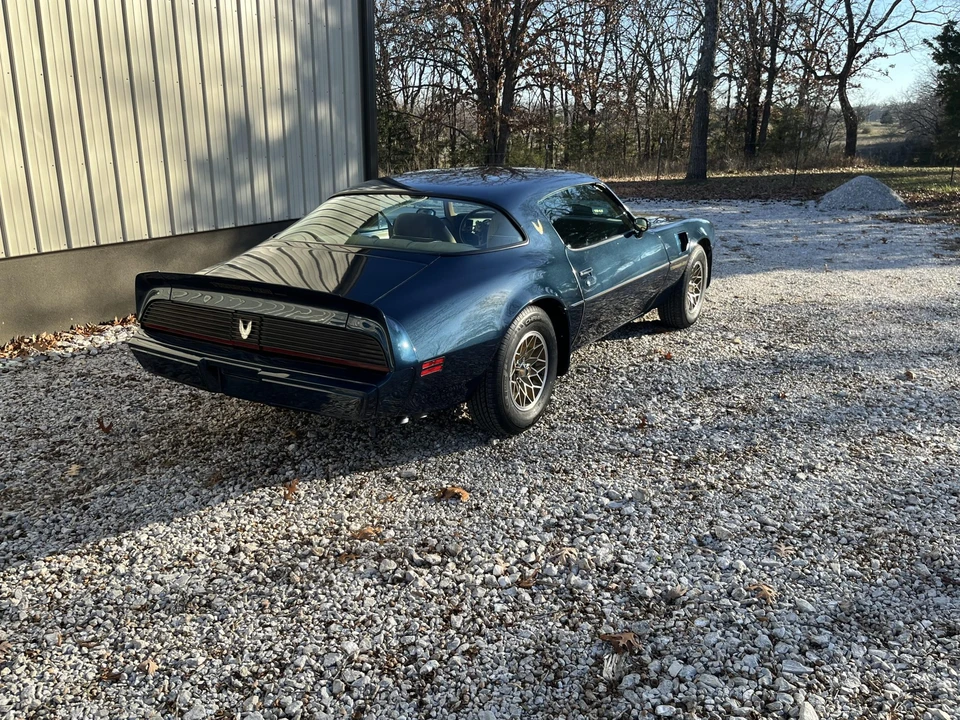 1981 Pontiac Firebird Trans Am 2nd Gen - Image 15 of 31