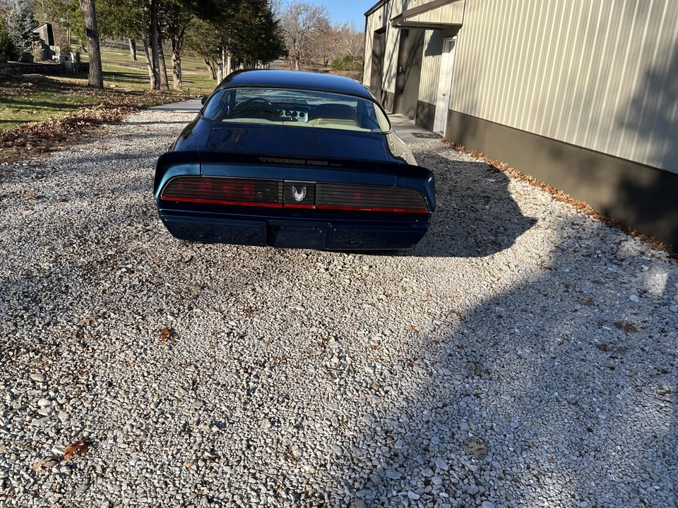 1981 Pontiac Firebird Trans Am 2nd Gen - Image 14 of 31