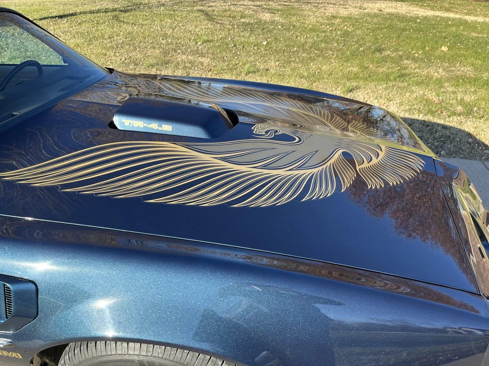 1981 Pontiac Firebird Trans Am 2nd Gen - Image 24 of 31