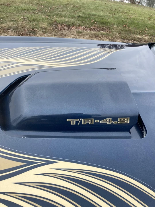 1981 Pontiac Firebird Trans Am 2nd Gen - Image 20 of 31