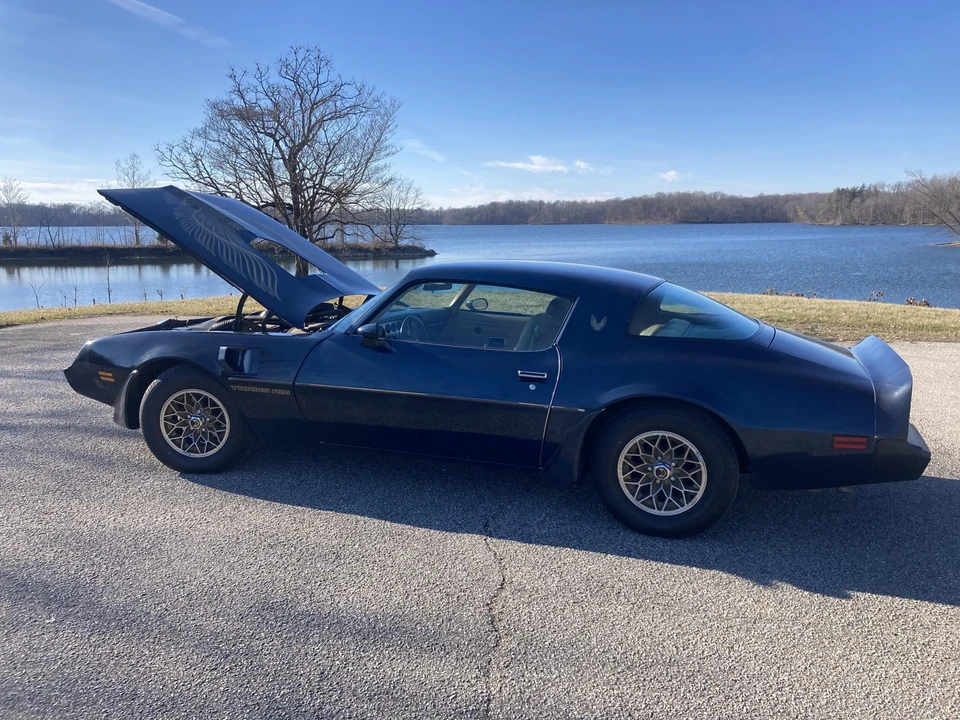 1981 Pontiac Firebird Trans Am 2nd Gen - Image 8 of 31