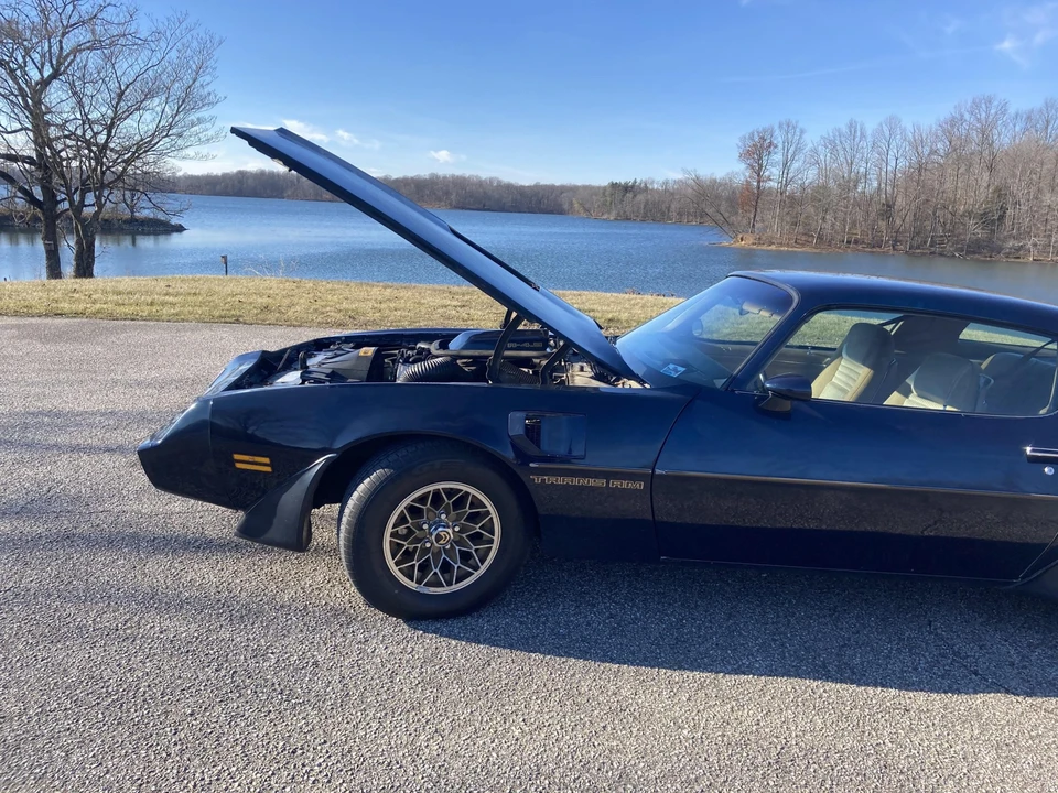 1981 Pontiac Firebird Trans Am 2nd Gen - Image 9 of 31