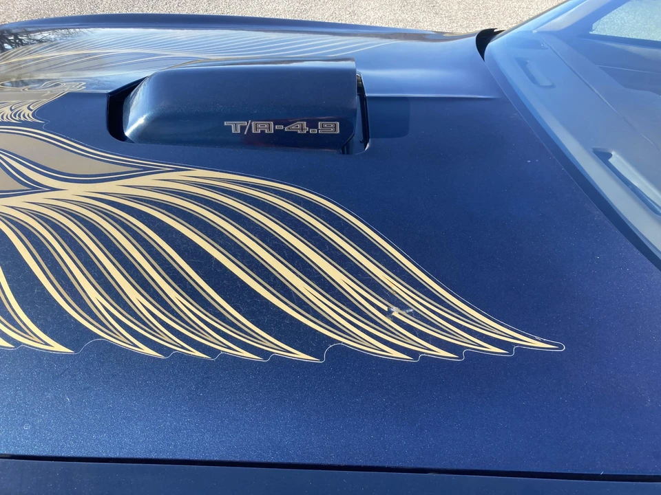 1981 Pontiac Firebird Trans Am 2nd Gen - Image 19 of 31