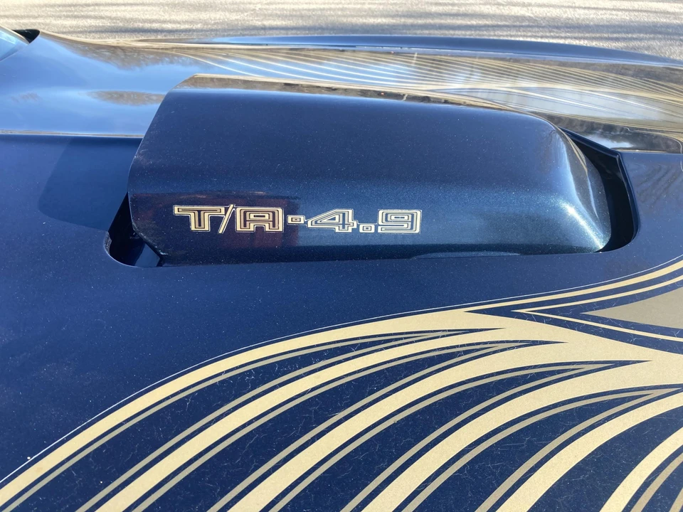 1981 Pontiac Firebird Trans Am 2nd Gen - Image 21 of 31