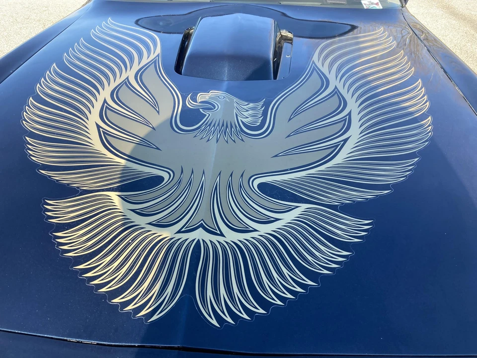 1981 Pontiac Firebird Trans Am 2nd Gen - Image 17 of 31