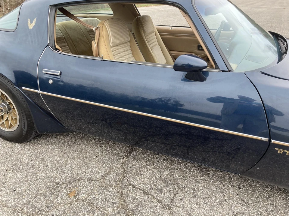 1981 Pontiac Firebird Trans Am 2nd Gen - Image 10 of 31