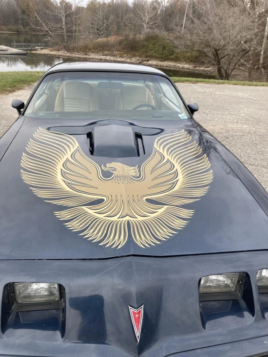 1981 Pontiac Firebird Trans Am 2nd Gen - Image 16 of 31