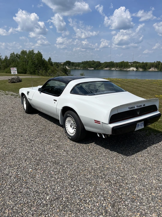 1981 Pontiac Firebird Trans Am 2nd Gen - Image 25 of 31