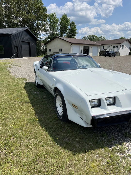 1981 Pontiac Firebird Trans Am 2nd Gen - Image 5 of 31