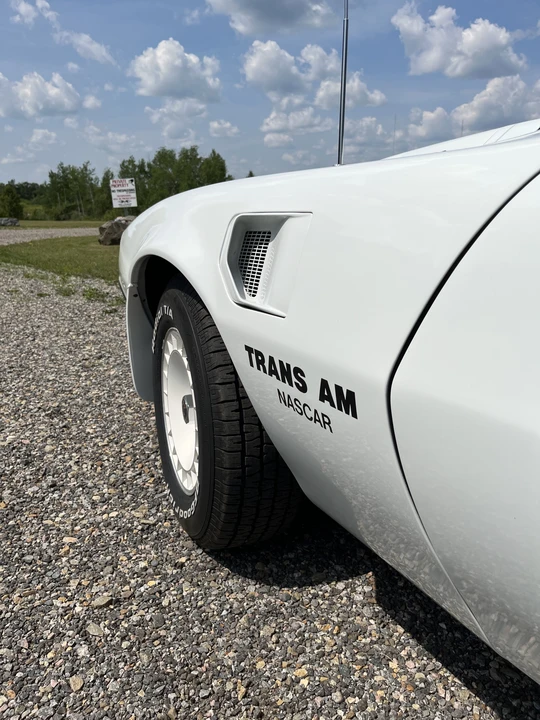 1981 Pontiac Firebird Trans Am 2nd Gen - Image 21 of 31