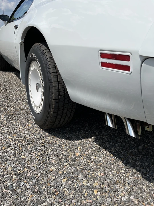 1981 Pontiac Firebird Trans Am 2nd Gen - Image 17 of 31