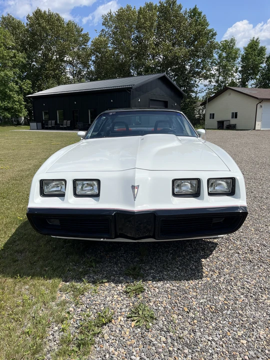 1981 Pontiac Firebird Trans Am 2nd Gen - Image 4 of 31