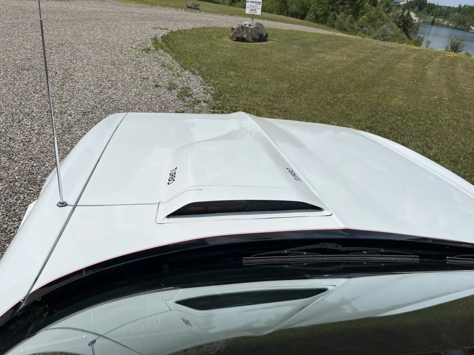 1981 Pontiac Firebird Trans Am 2nd Gen - Image 15 of 31