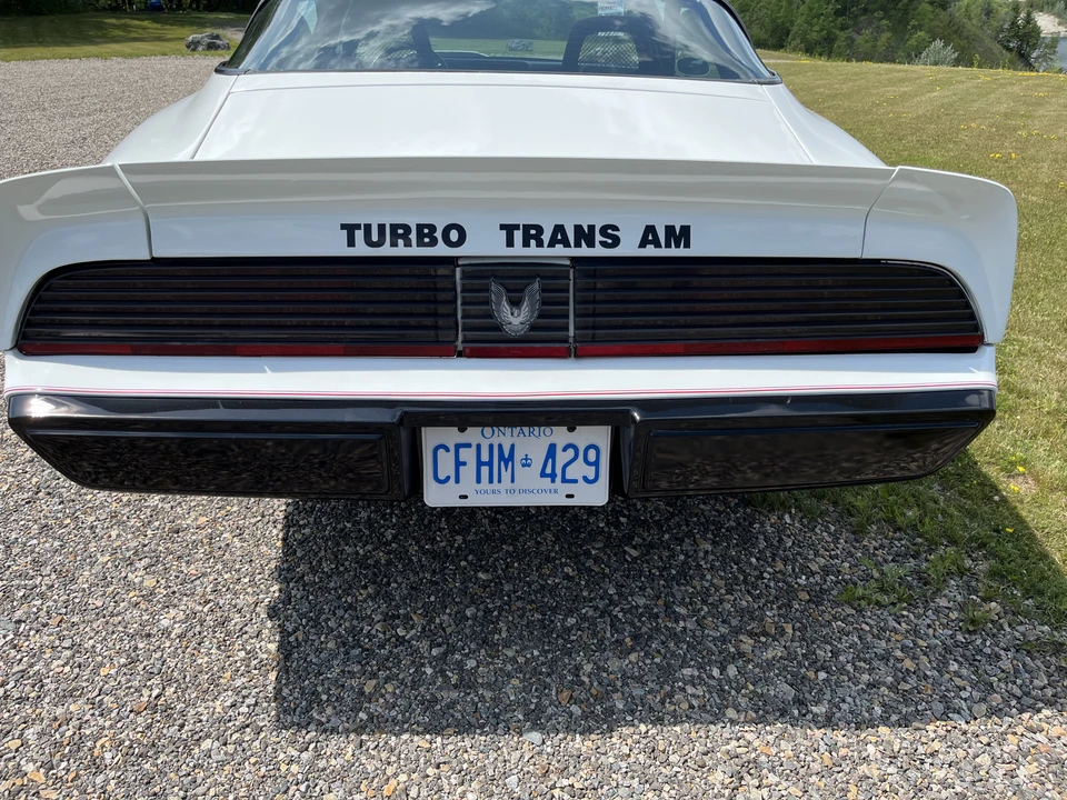 1981 Pontiac Firebird Trans Am 2nd Gen - Image 18 of 31