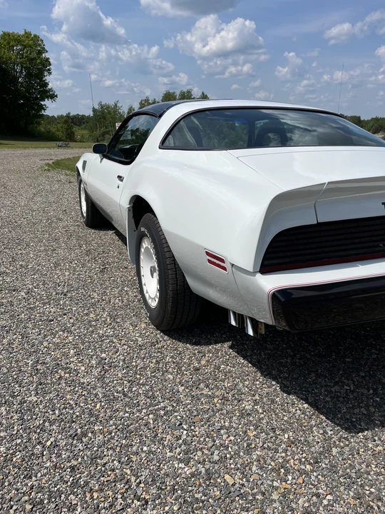1981 Pontiac Firebird Trans Am 2nd Gen - Image 10 of 31
