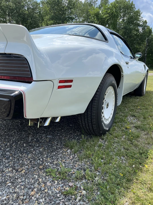 1981 Pontiac Firebird Trans Am 2nd Gen - Image 19 of 31