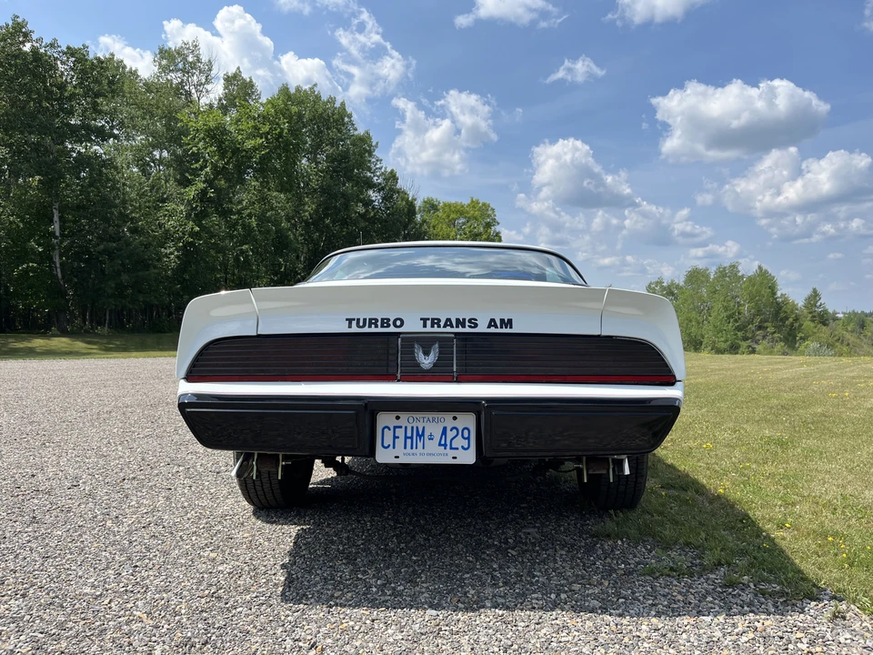 1981 Pontiac Firebird Trans Am 2nd Gen - Image 8 of 31