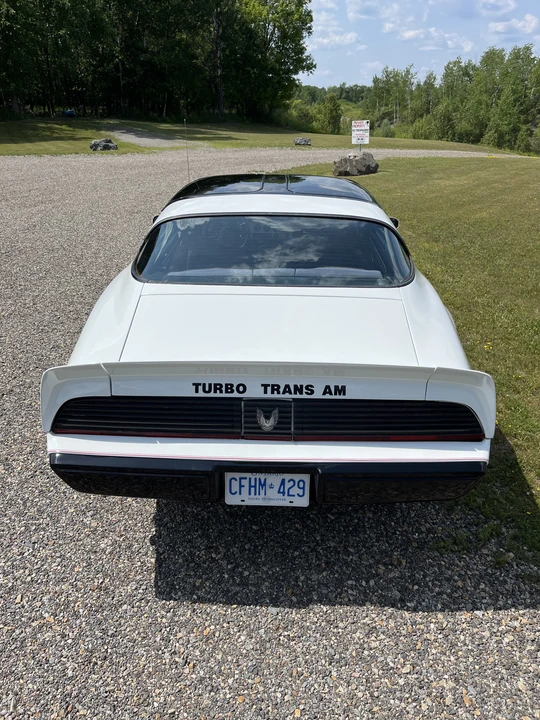 1981 Pontiac Firebird Trans Am 2nd Gen - Image 9 of 31