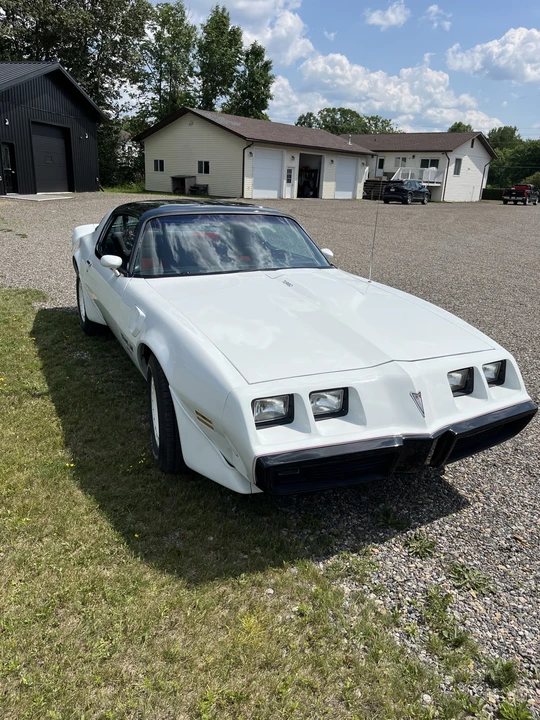 1981 Pontiac Firebird Trans Am 2nd Gen - Image 23 of 31