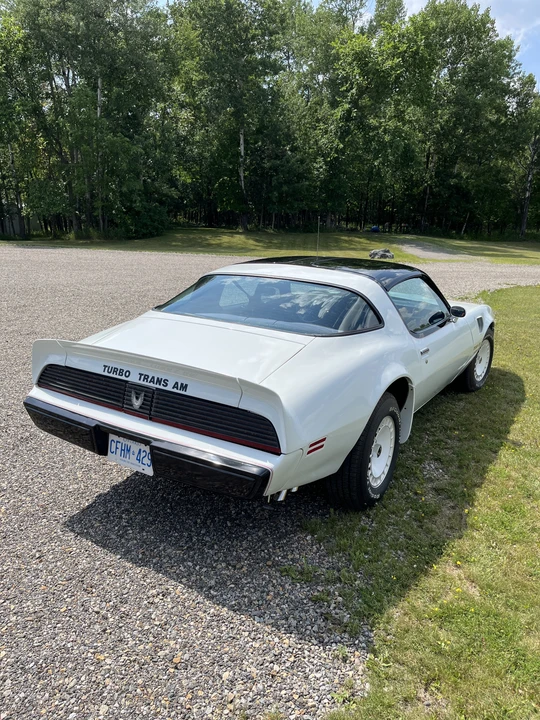1981 Pontiac Firebird Trans Am 2nd Gen - Image 24 of 31