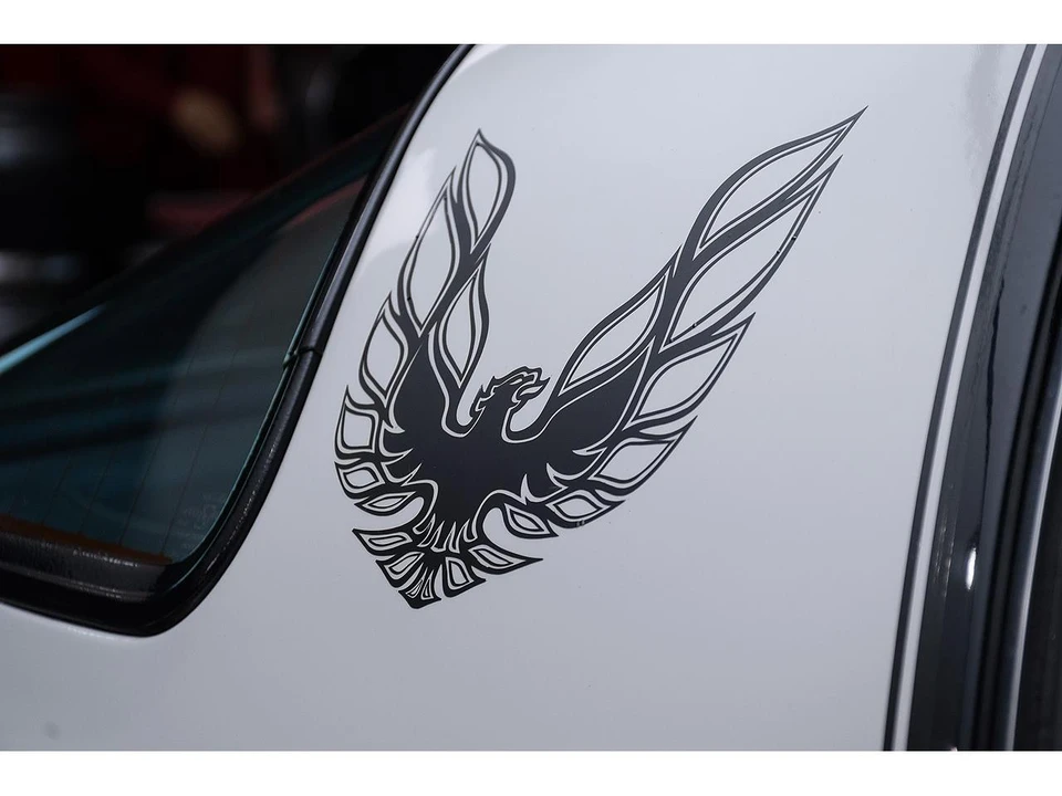 1981 Pontiac Firebird Trans Am 2nd Gen - Image 22 of 31