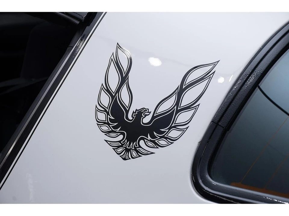 1981 Pontiac Firebird Trans Am 2nd Gen - Image 25 of 31