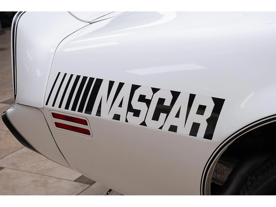 1981 Pontiac Firebird Trans Am 2nd Gen - Image 23 of 31
