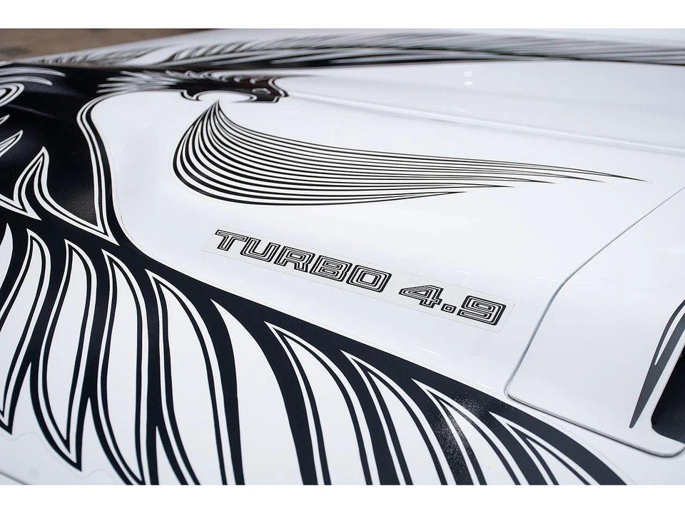1981 Pontiac Firebird Trans Am 2nd Gen - Image 18 of 31