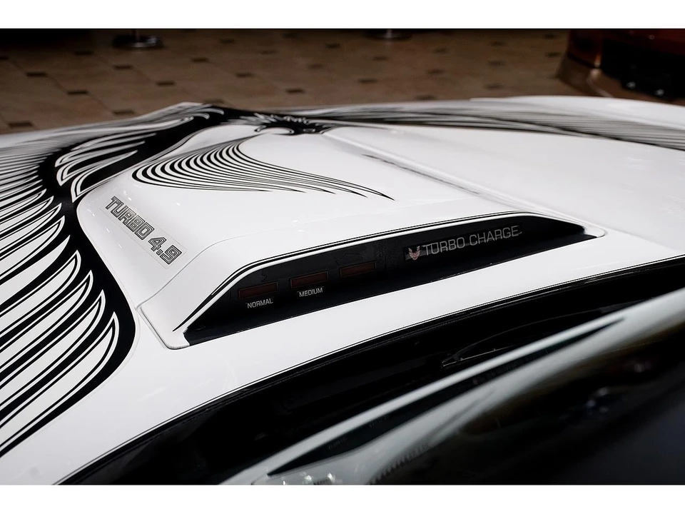 1981 Pontiac Firebird Trans Am 2nd Gen - Image 30 of 31