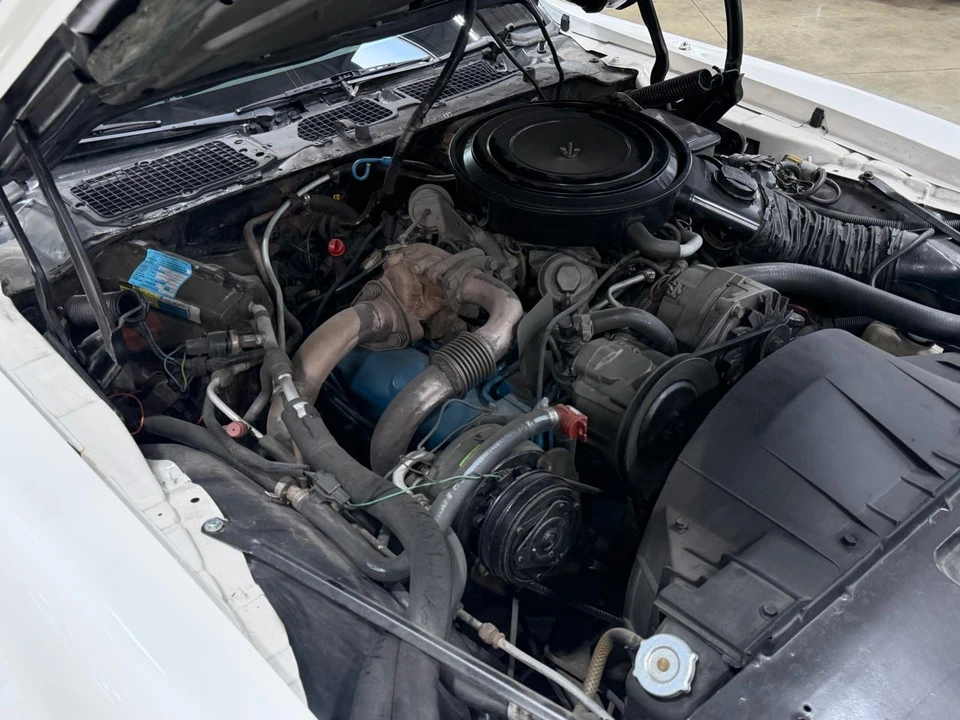 1981 Pontiac Firebird Trans Am 2nd Gen - Image 22 of 31