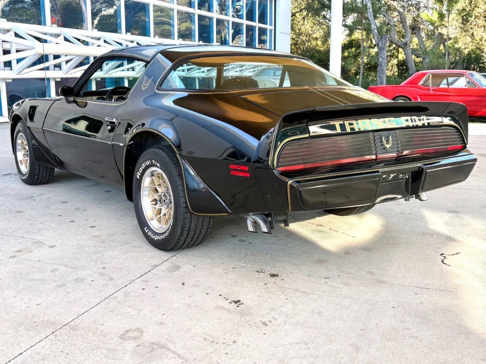 1981 Pontiac Firebird Trans Am 2nd Gen - Image 9 of 12