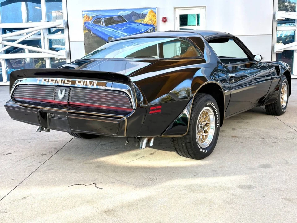 1981 Pontiac Firebird Trans Am 2nd Gen - Image 6 of 12