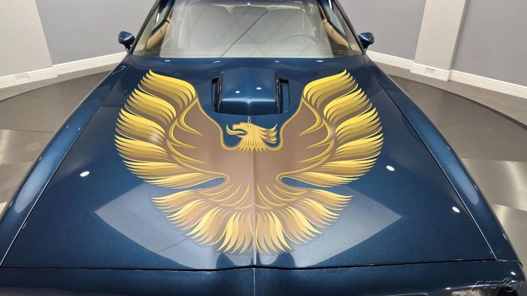 1981 Pontiac Firebird Trans Am 2nd Gen - Image 11 of 24
