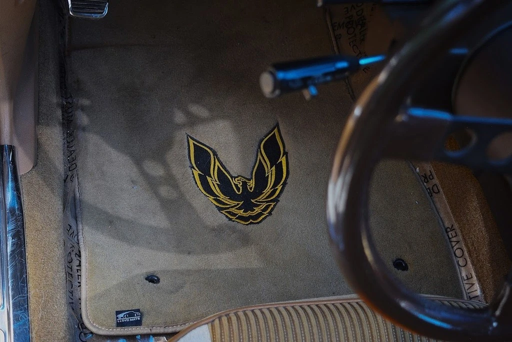 1981 Pontiac Firebird Trans Am 2nd Gen - Image 11 of 21