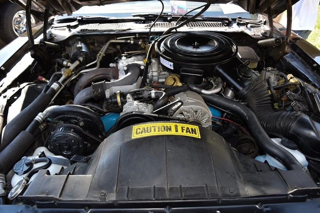 1981 Pontiac Firebird Trans Am 2nd Gen - Image 14 of 21
