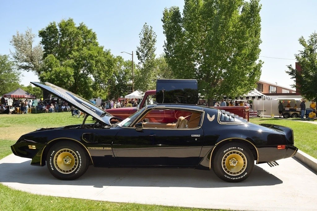 1981 Pontiac Firebird Trans Am 2nd Gen - Image 7 of 21