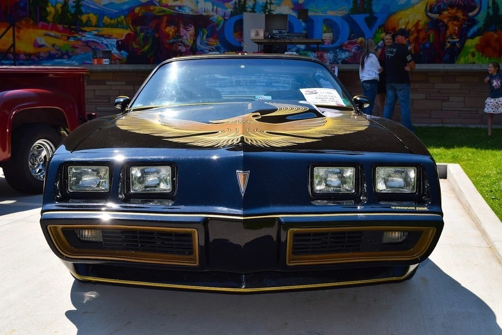 1981 Pontiac Firebird Trans Am 2nd Gen - Image 5 of 21