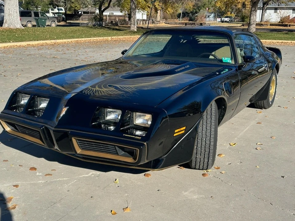 1981 Pontiac Firebird Trans Am 2nd Gen - Image 19 of 21