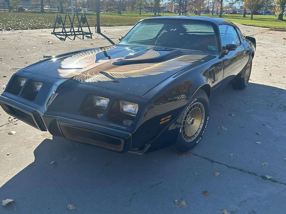 1981 Pontiac Firebird Trans Am 2nd Gen - Image 20 of 21