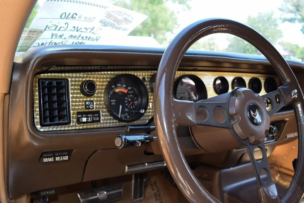 1981 Pontiac Firebird Trans Am 2nd Gen - Image 8 of 21