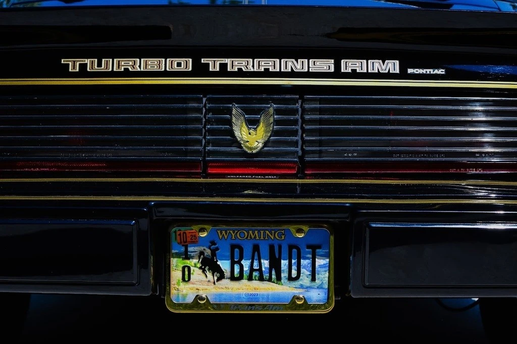 1981 Pontiac Firebird Trans Am 2nd Gen - Image 12 of 21